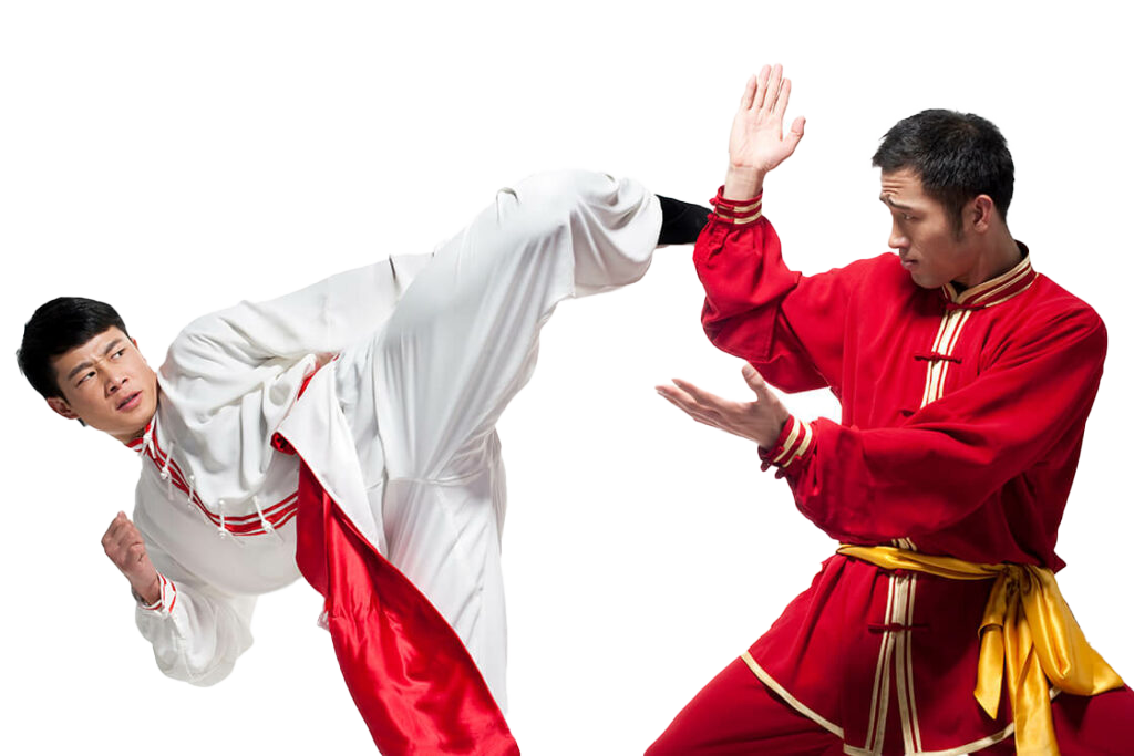 Estil Wing Chun